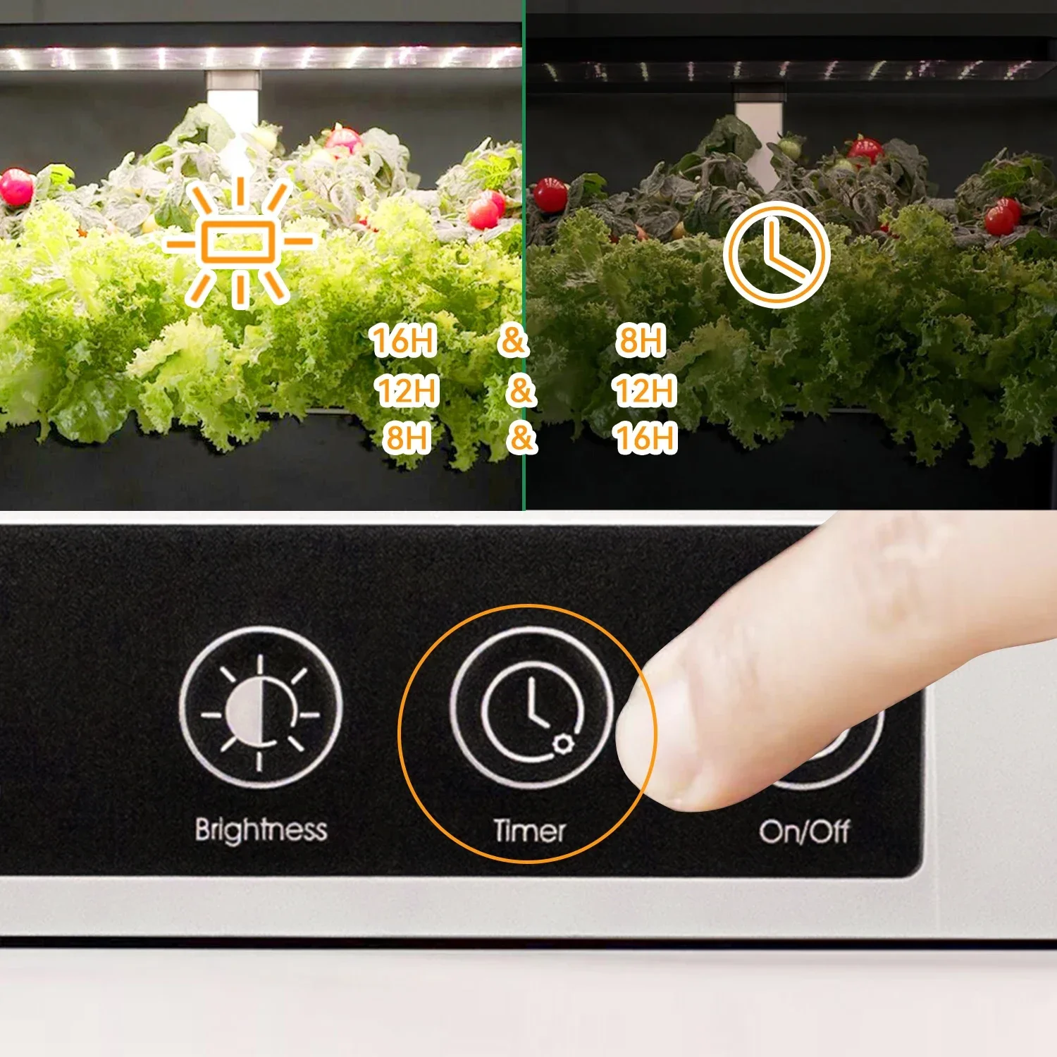 Smart Garden Herb - OEM Customized smart garden indoor herb
