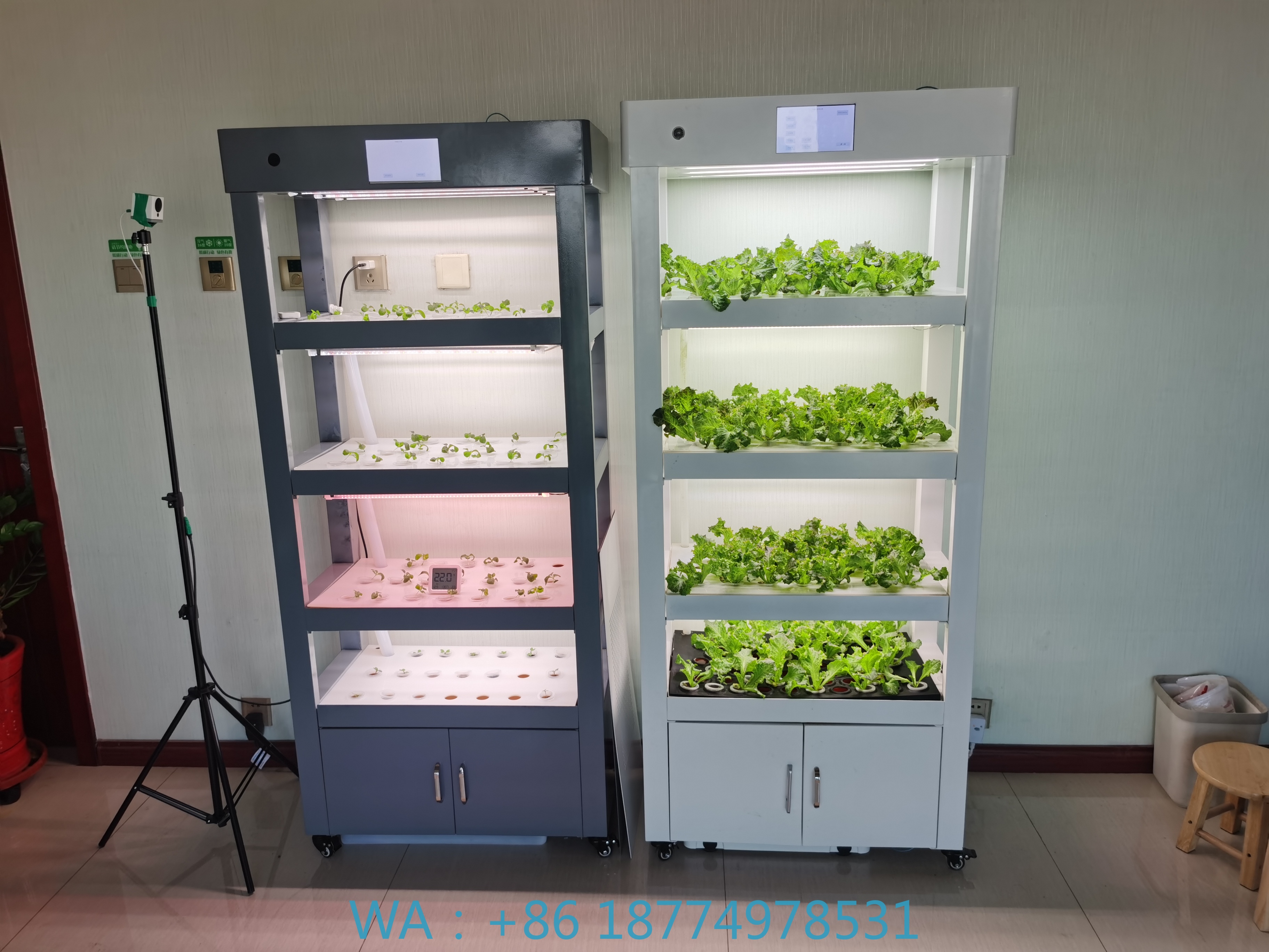 Smart Garden Vertical - Aeroponic Vertical Hydroponic Kit Hydroponics Growing