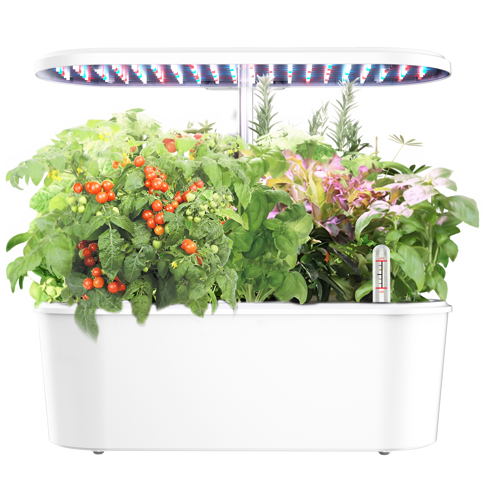 Smart Electronic Indoor Hydrop - Smart Garden Herb 评论和价格