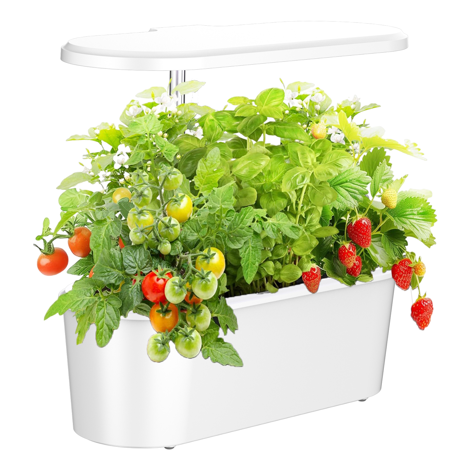 Smart Electronic Indoor Hydrop - Smart Garden Herb 评论和价格