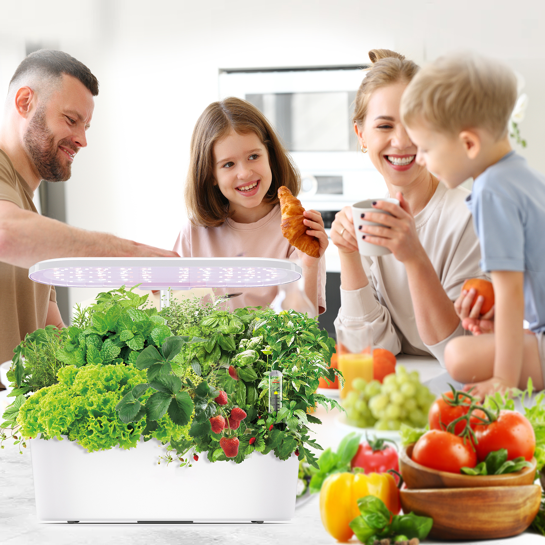 Smart Electronic Indoor Hydrop - Smart Garden Herb 评论和价格