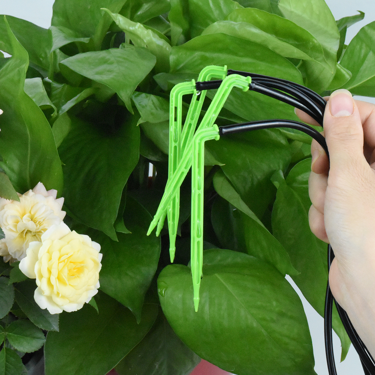KESLA Garden 4/7mm to 3/5mm Ho - Smart Garden Technology 评论和价格