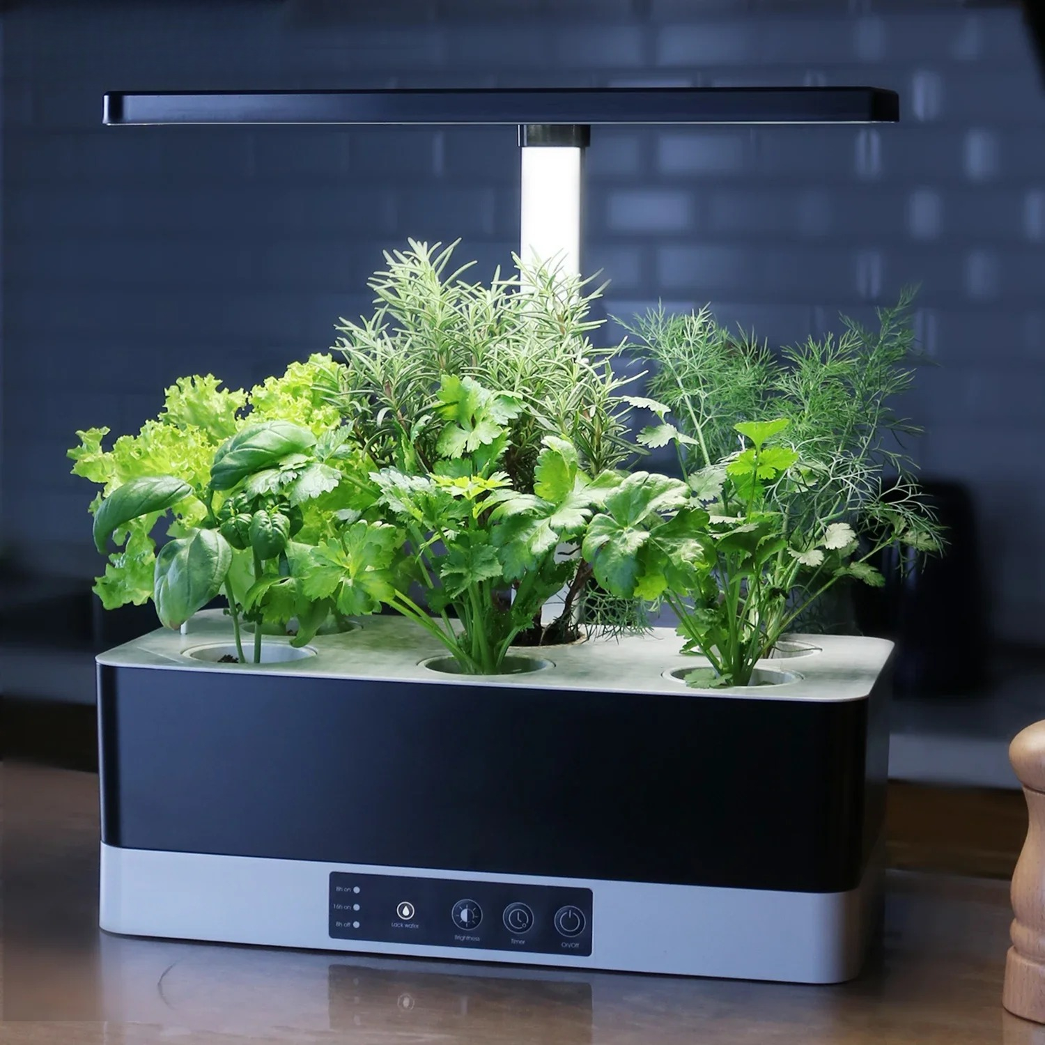 OEM Customized smart garden in - Smart Garden Herb 评论和价格
