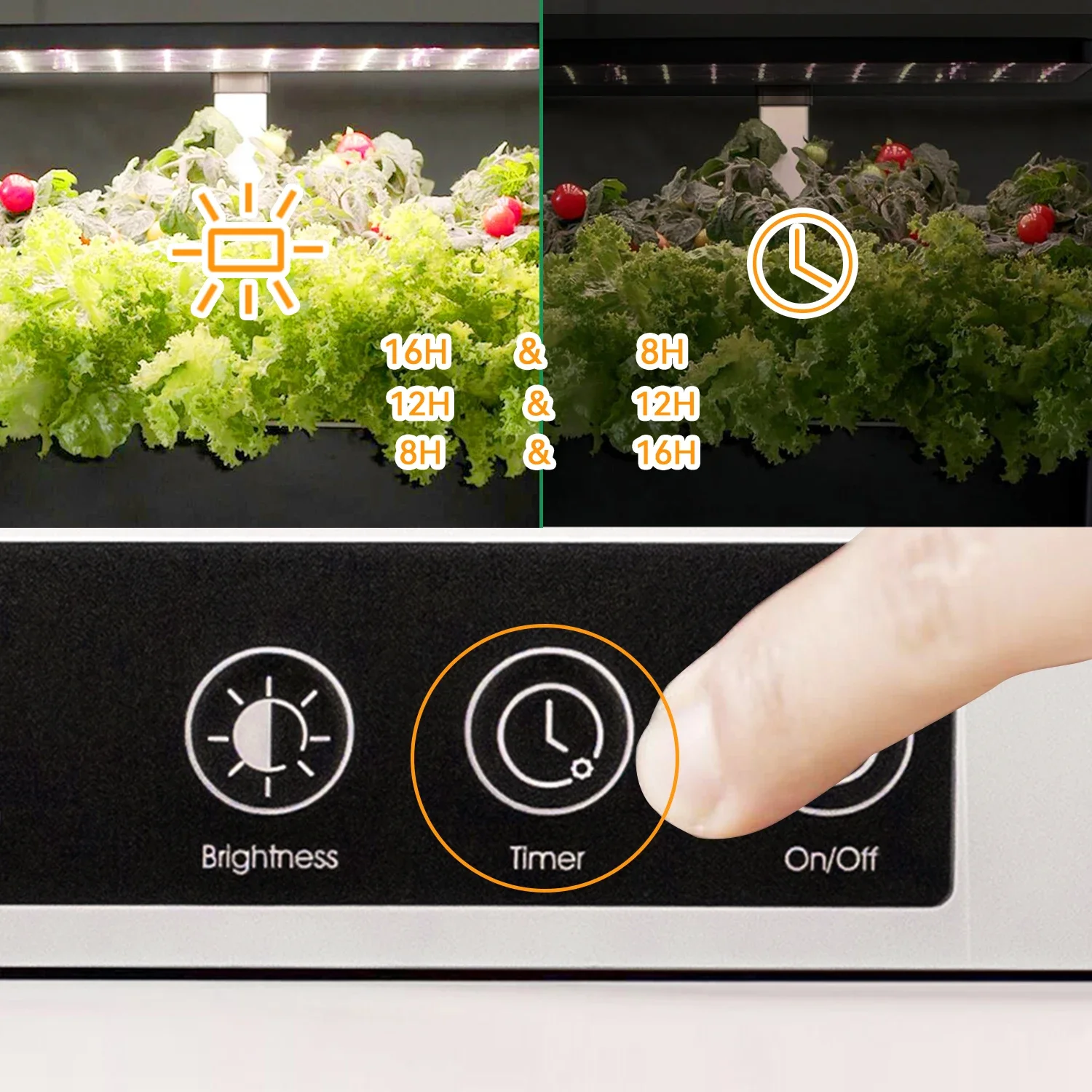 OEM Customized smart garden in - Smart Garden Herb 评论和价格