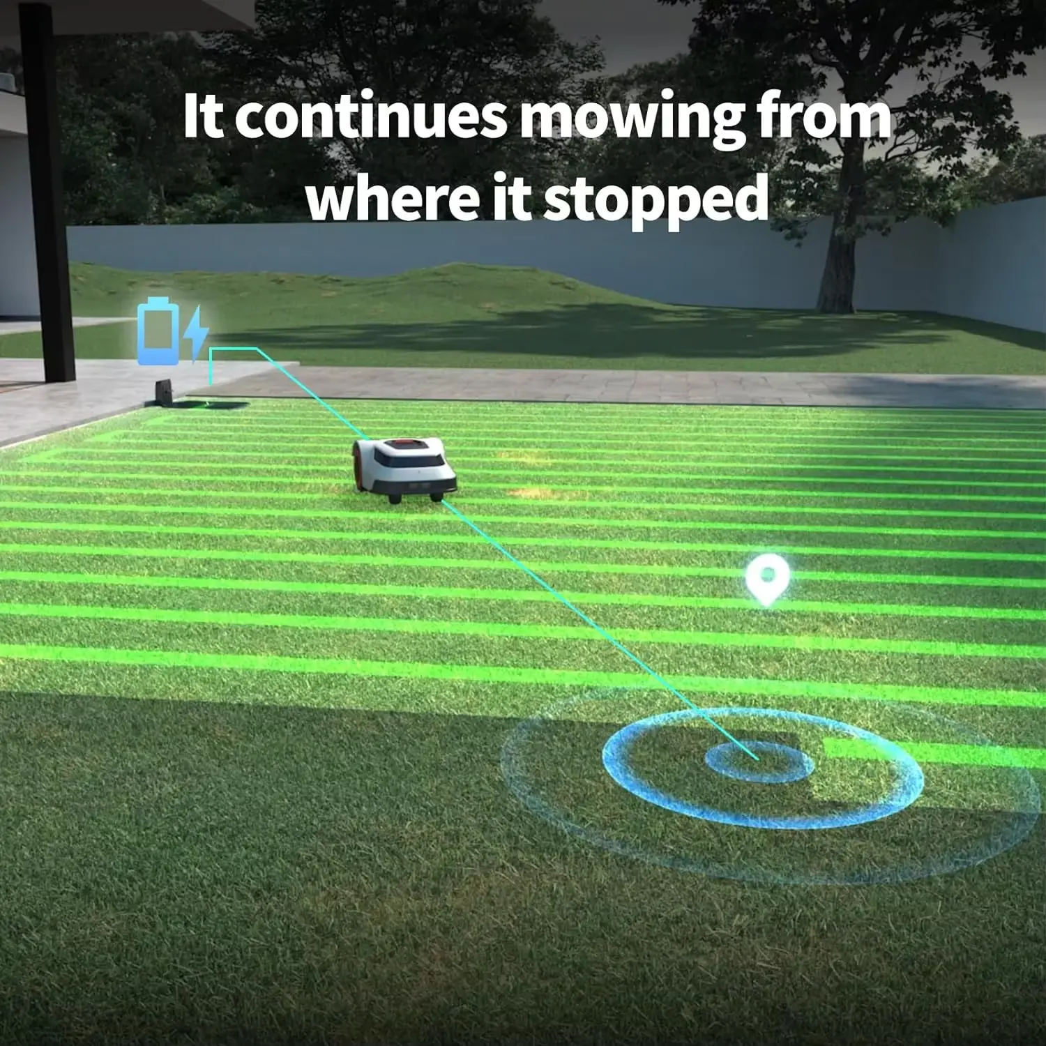 STLF WJW Robotic Lawn Mower Se - Smart Garden Robot 评论和价格