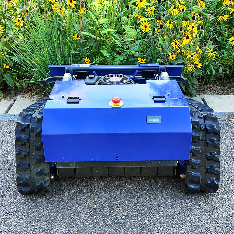 Customized Crawler Smart Remot - Smart Garden Robot 评论和价格
