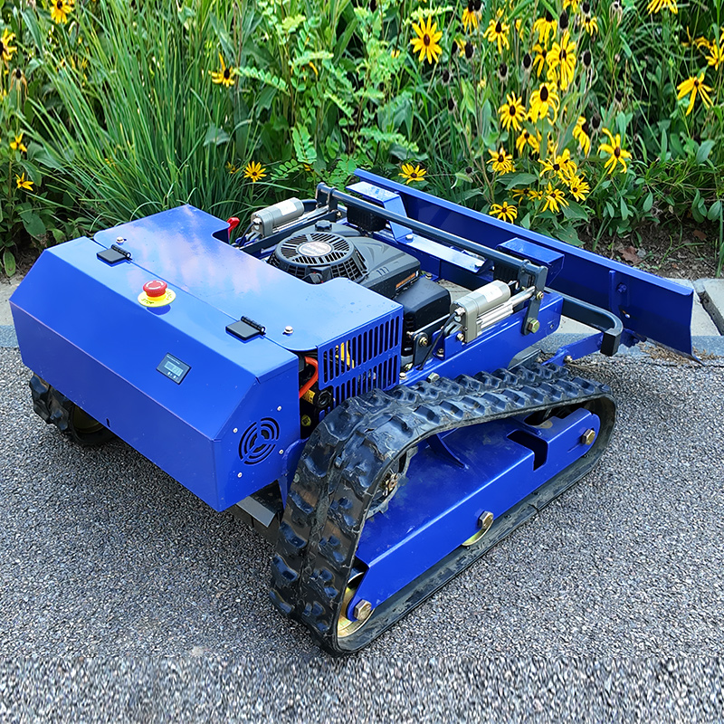 Customized Crawler Smart Remot - Smart Garden Robot 评论和价格