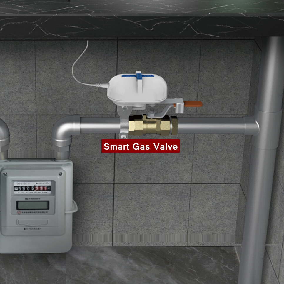 Tuya Smart Home WiFi Zigbee Wa - Smart Garden Valve 评论和价格