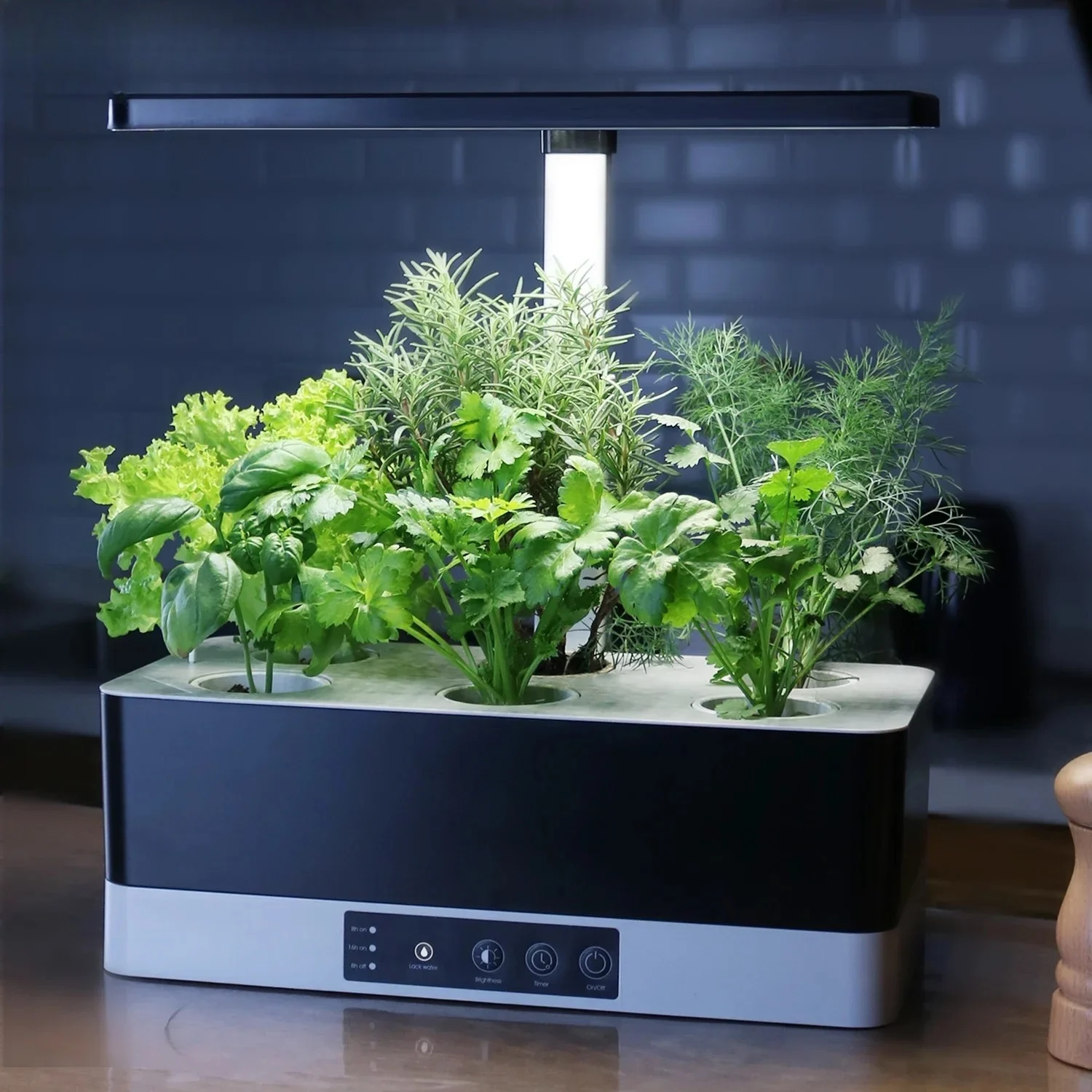 OEM Customized smart garden in - Smart Garden Herb 评论和价格