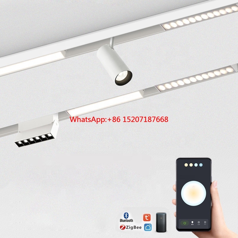 20W Track Spotlight LED Tuya Z - Smart Zigbee Garden Light 评论和价格