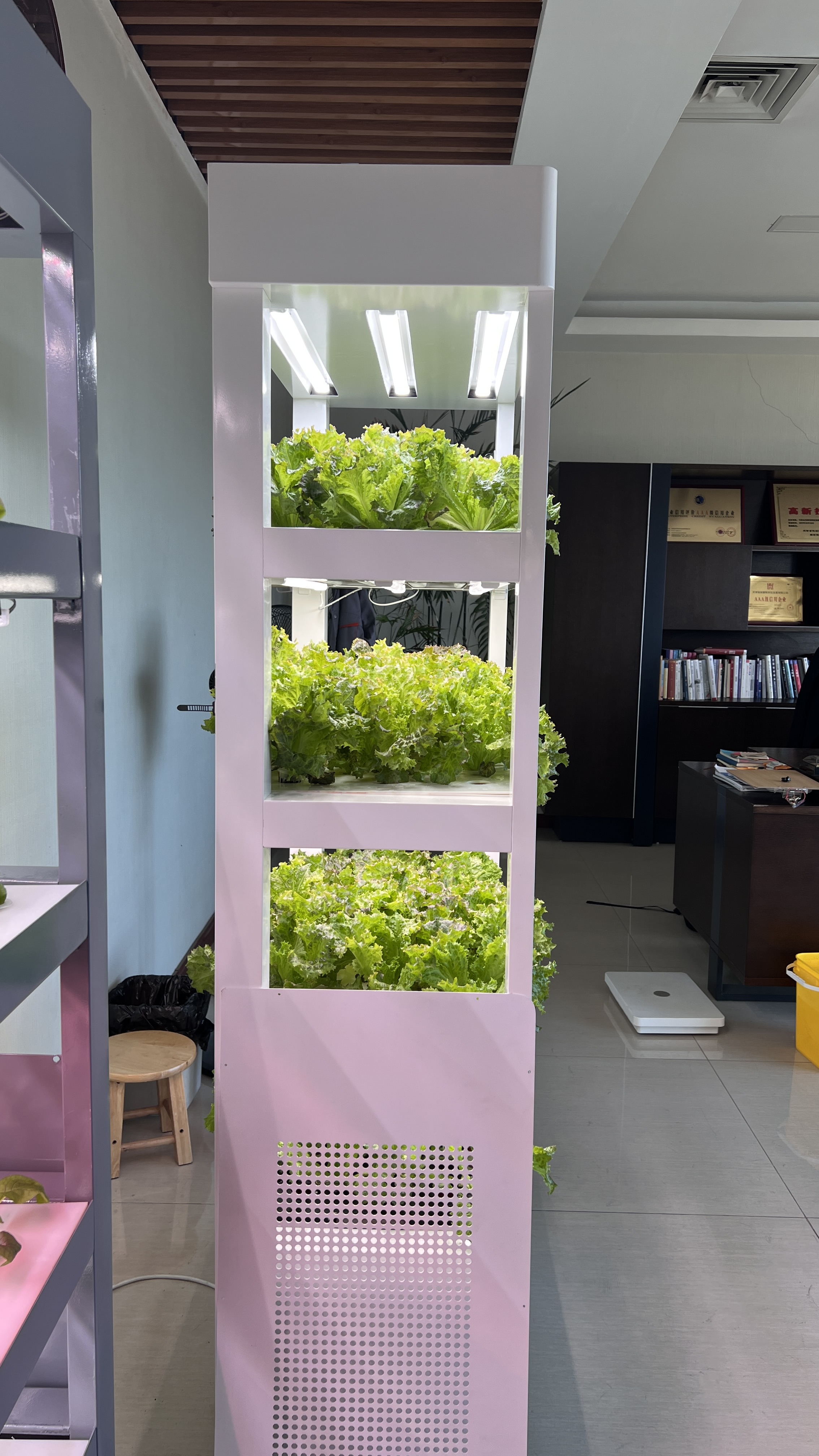 Aeroponic Vertical Hydroponic  - Smart Garden Vertical 评论和价格