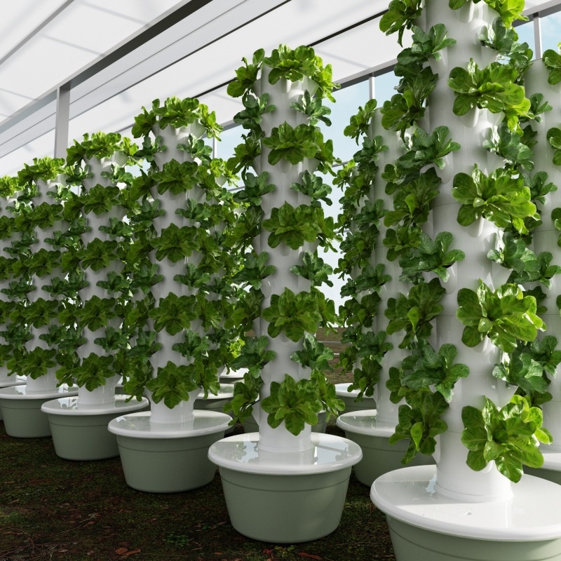 2024 Smart Low Cost Greenhouse - Smart Garden Vertical 评论和价格