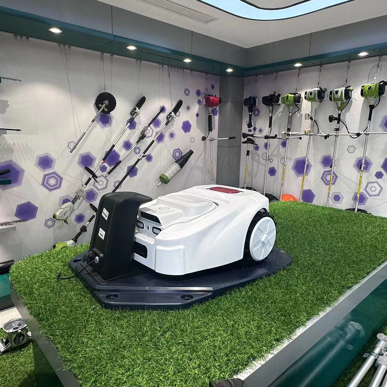 Electric Automatic 22.4V 6.0Ah - Smart Garden Robot 评论和价格