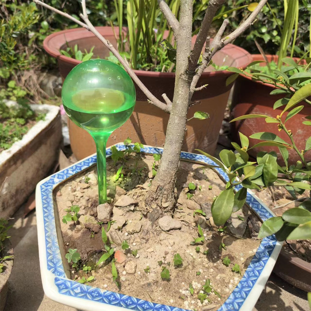 Automatic Plant Watering Bulbs - Smart Garden Technology 评论和价格