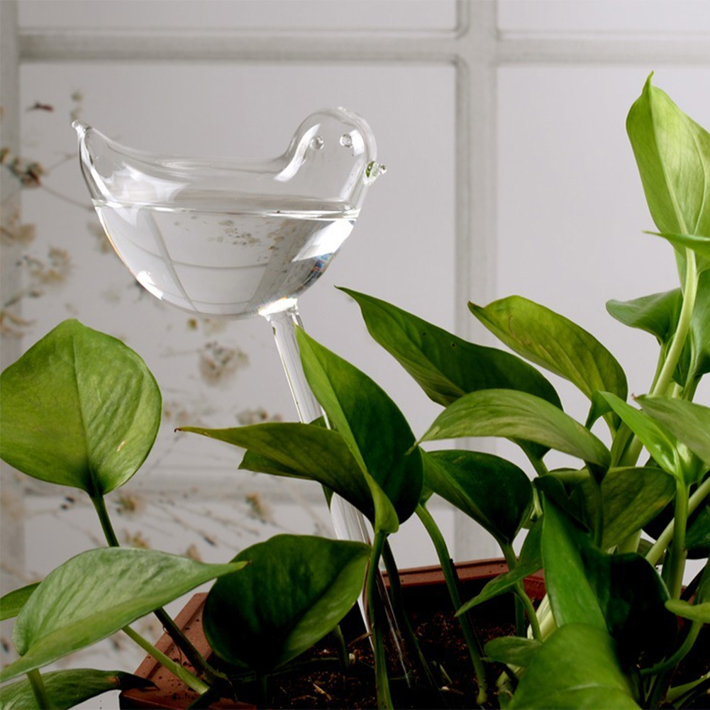Automatic Plant Watering Bulbs - Smart Garden Technology 评论和价格