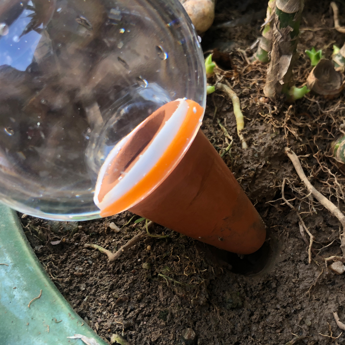 2 Pcs Automatic Plant Watering - Smart Garden Technology 评论和价格