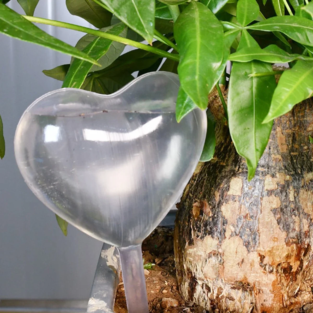 1pc Automatic Plant Watering B - Smart Garden Technology 评论和价格