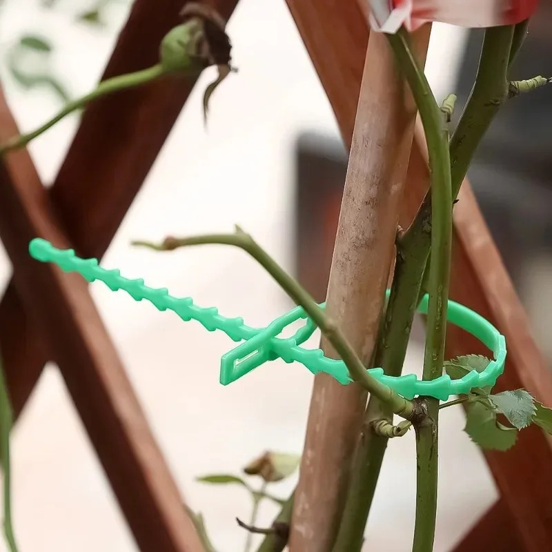 Reusable Garden Cable Ties Pla - Smart Garden Storage 评论和价格