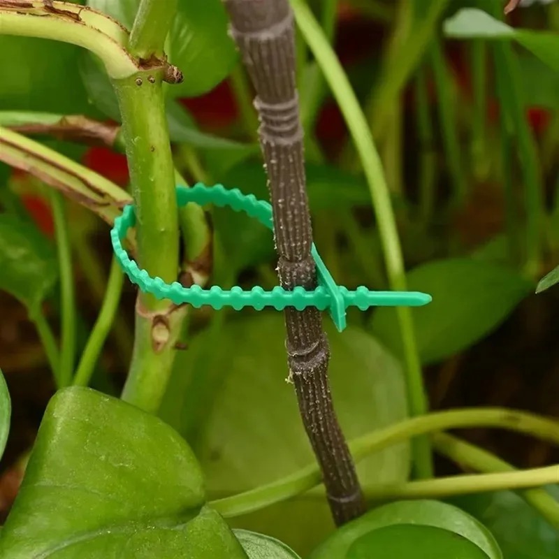 Reusable Garden Cable Ties Pla - Smart Garden Storage 评论和价格