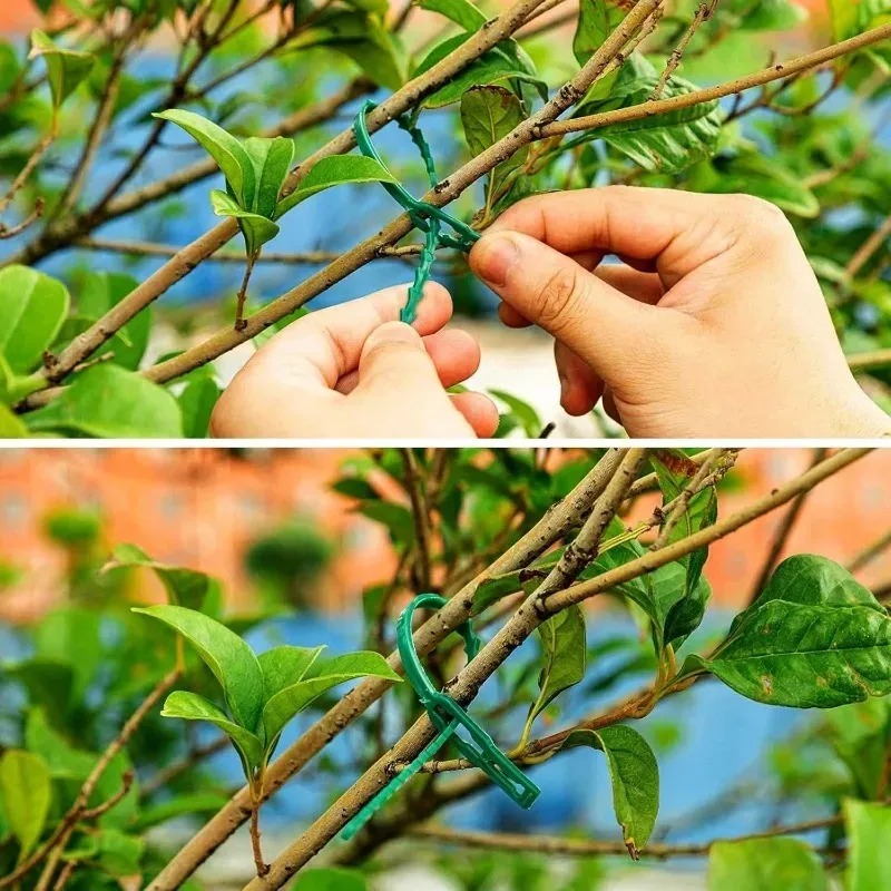 Reusable Garden Cable Ties Pla - Smart Garden Storage 评论和价格