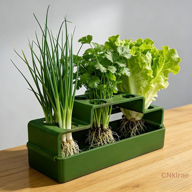[TG820]Hydroponic Scallion Gro - Smart Garden Herb 评论和价格