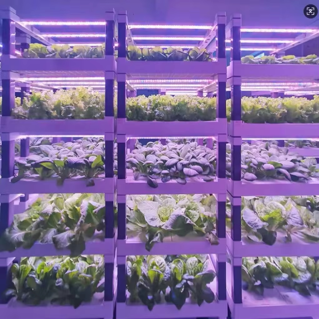 Hydroponic Grow System Greenho - Smart Garden Vertical 评论和价格