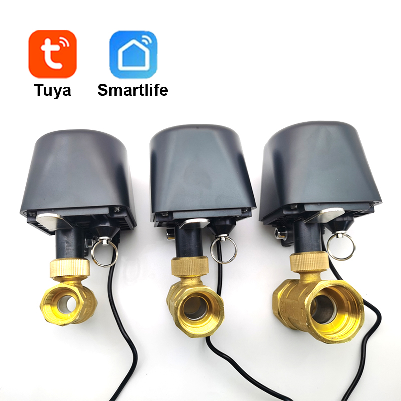 Tuya WiFi or Zigbee Water Valv - Smart Garden Valve 评论和价格